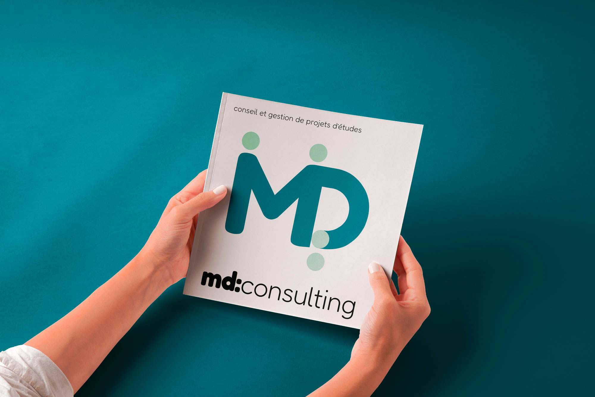 Logotype pour MD Consulting